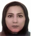 مترجم اسما مولاپورراشدی مترجم اسما مولاپورراشدی